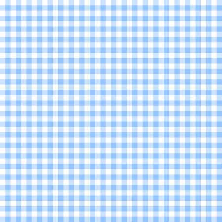 White/Baby Blue Gingham Classics