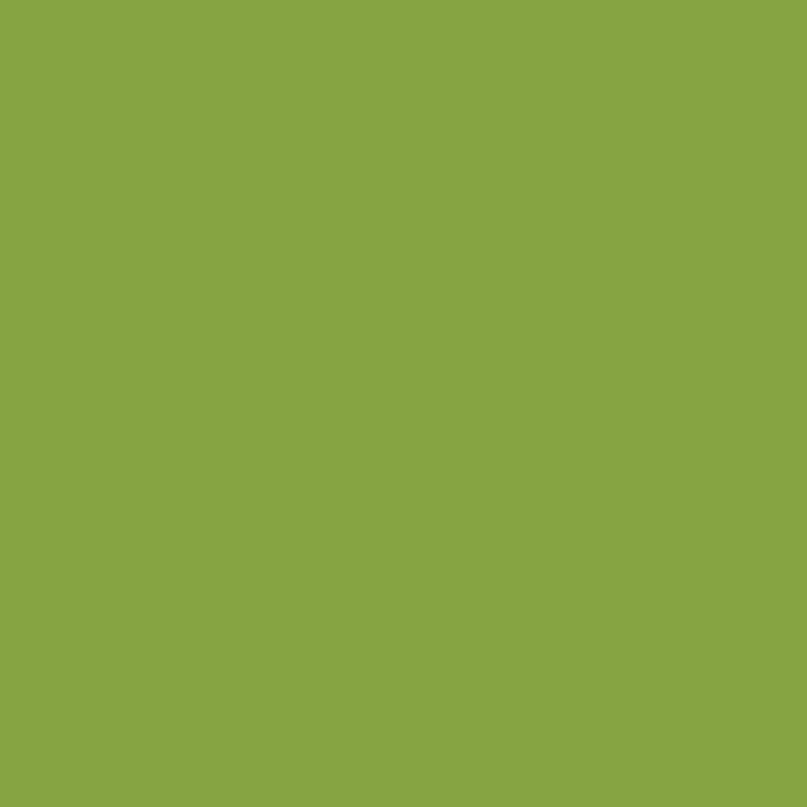 TP Dragon's Breath - Matcha