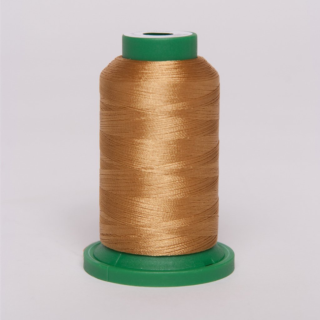 EXQUISITE 1000M 620 HONEY