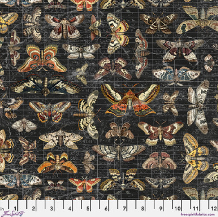 Halloween Moth Study CC- Halloween