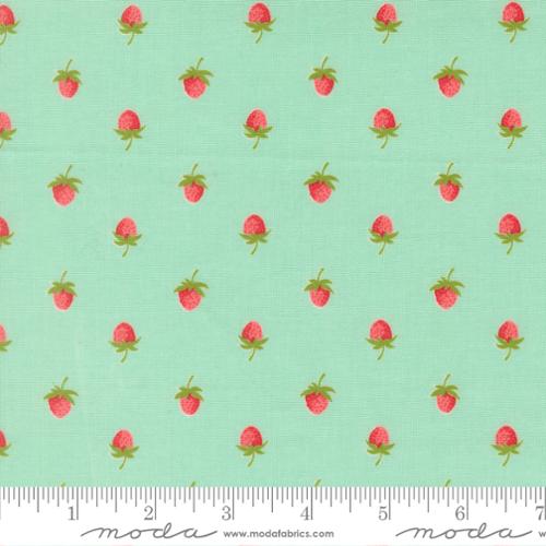 Berries Aqua- Bloomsberrry