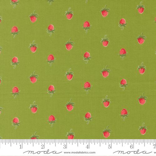 Strawberries Leaf- Bloomsberry