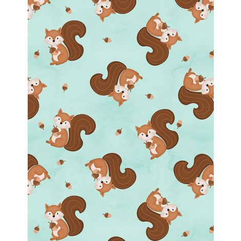 Squirrel Toss Teal- Woodland Whimsy