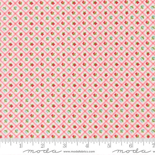 Checks & Plaids Flower Blush- Bloomsberry