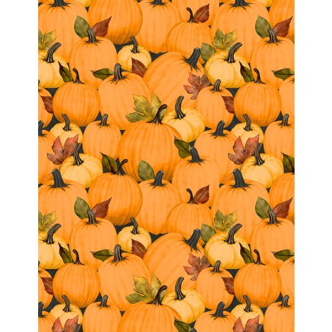 Pumpkin Patch Multi- Oh My Gourd!
