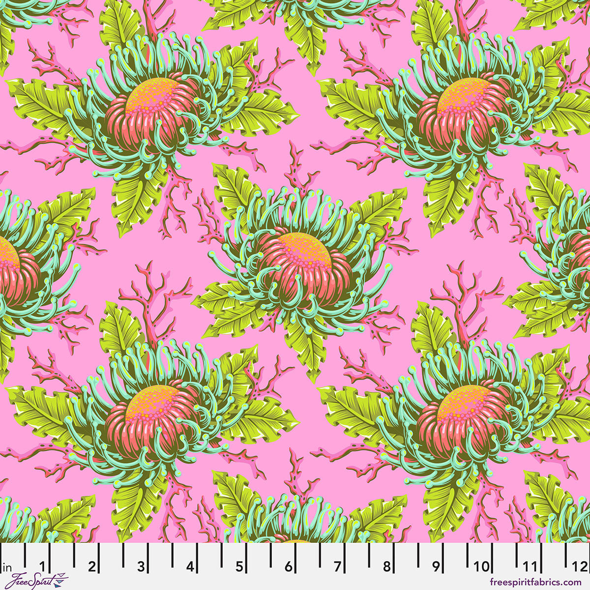 Friends & Anemones- Coralline- Floral Reef