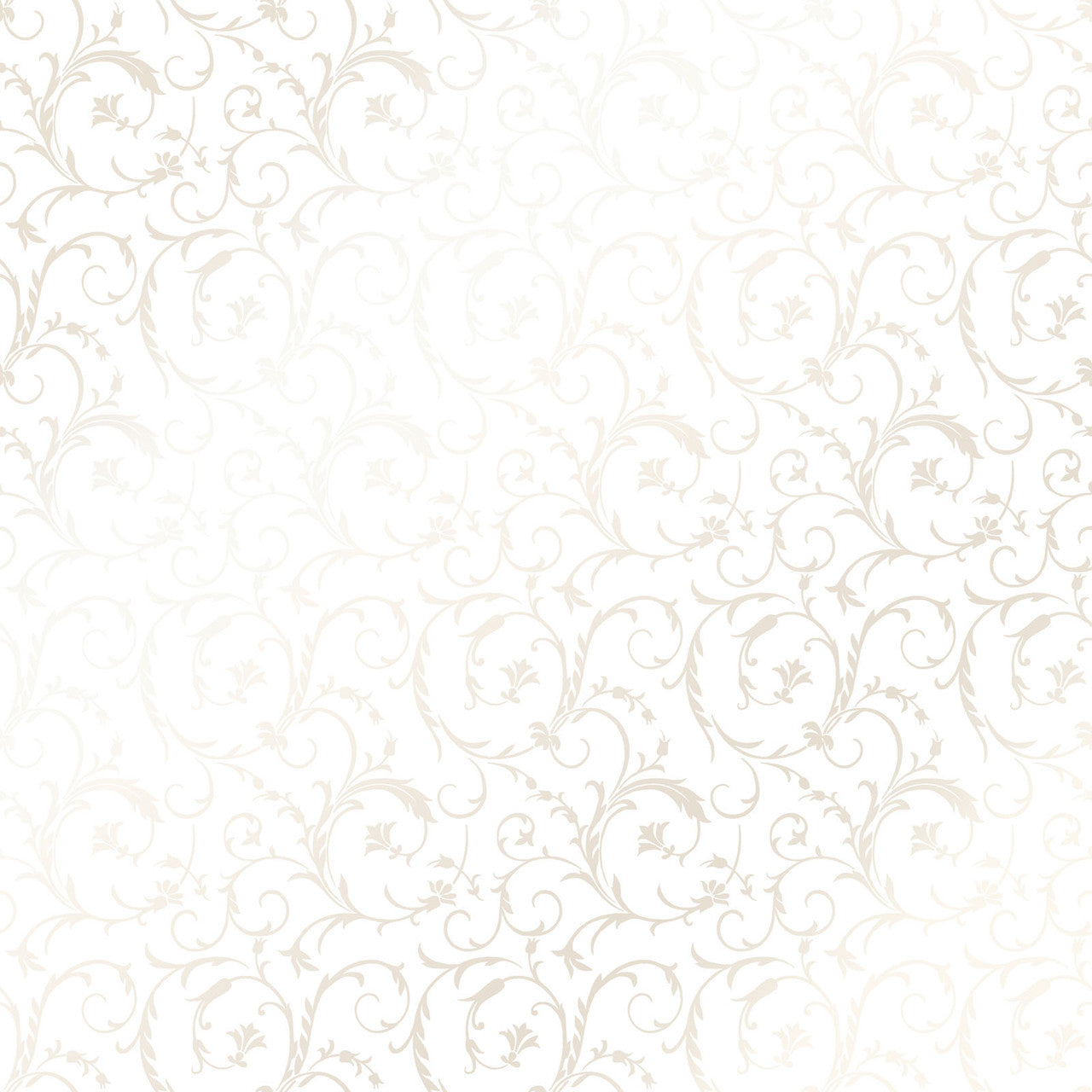 Scroll-Pearl on Ultra White