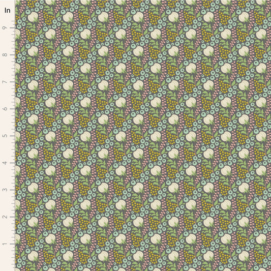 0.55816400 177135324796683983