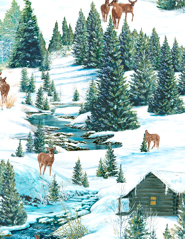 Scenic Multi- Frosty Woodlands