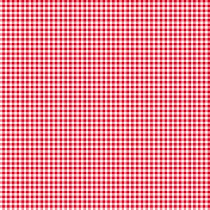 White/Red Mini Gingham Classics