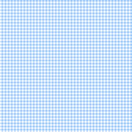 White/Baby Blue Mini Gingham Classics
