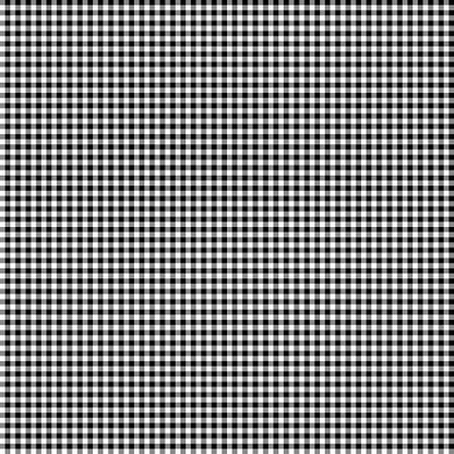 White/Black Mini Gingham Classics