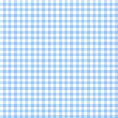 White/Baby Blue Gingham Classics