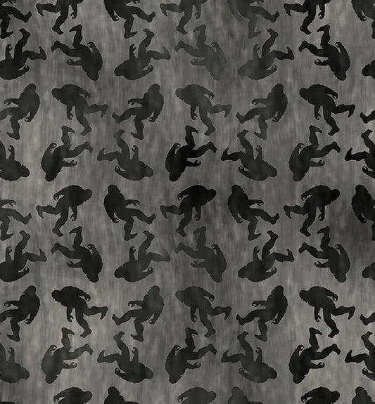 APNWSH 2026 Big Foot Gray