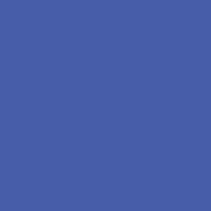 Tula Pink Solids - Iris