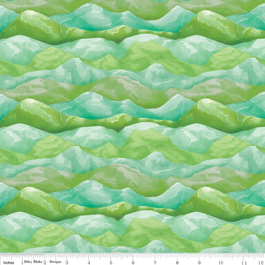 Washington Mountain Print Green