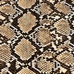 Faux Snake Print- Brown/Cream 18 in x 54 in