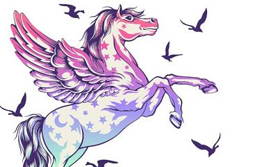 Pre-Order Tula Pegasus Pencil Pouch