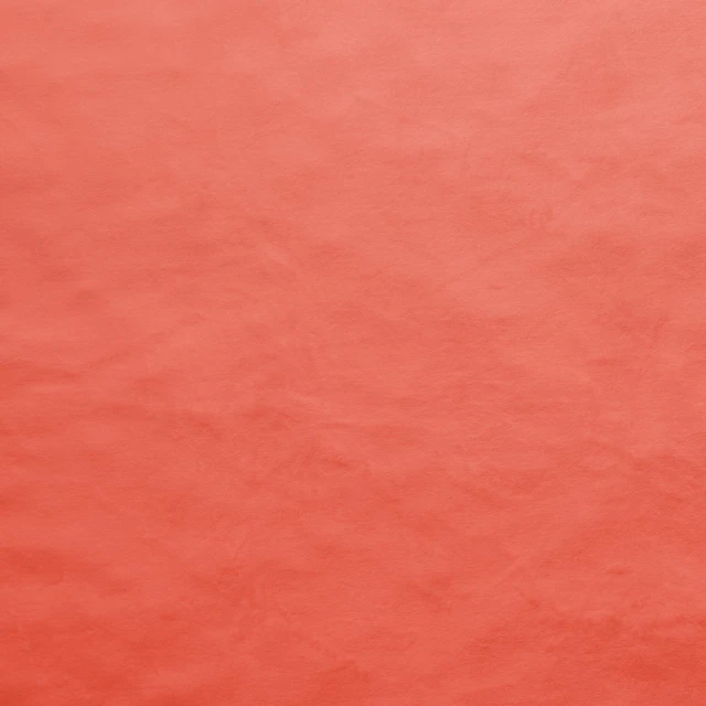 Silky Minky 3MM 90" Salmon