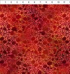 Shadow Red- I Dream in Color