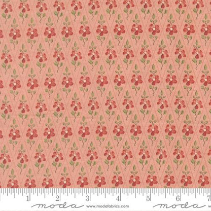 Paquerette Checks and Plaids Floral Pale Rose- Fleur De Paris