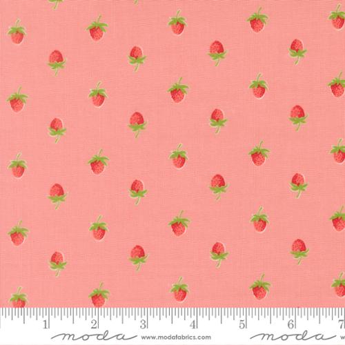 Berries Blush- Bloomsberry