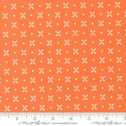 X's Pumpkin- Birch Willow Quilting Cuddle