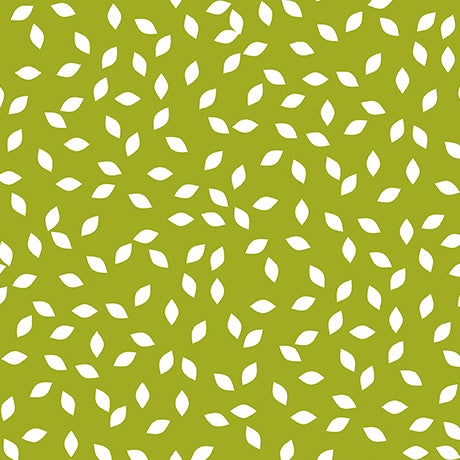 Avocado Geo- Renewal of Hope