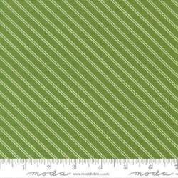 Bias Stripe Green- Bloomsberry