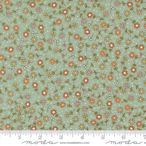 Meadow Small Flower Sky- Bug Collector