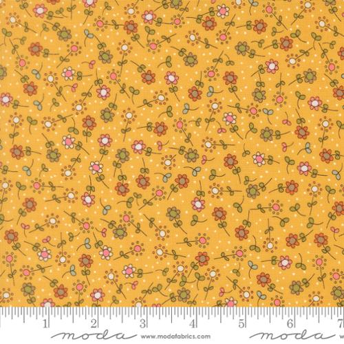 Meadow Small Flower Sunshine- Bug Collector