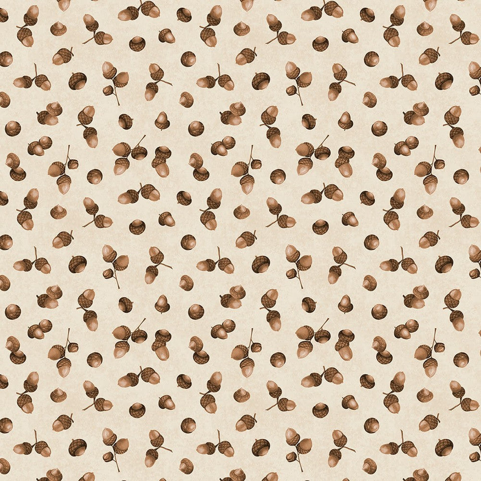 Acorns Cream- Oh My Gourd!