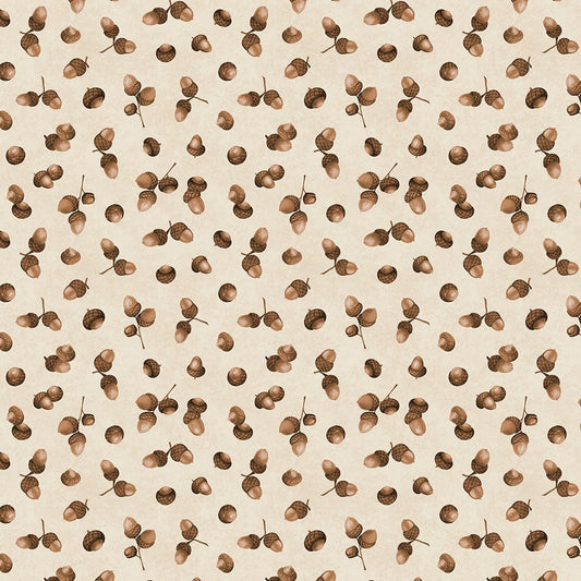 Acorns Cream- Oh My Gourd!