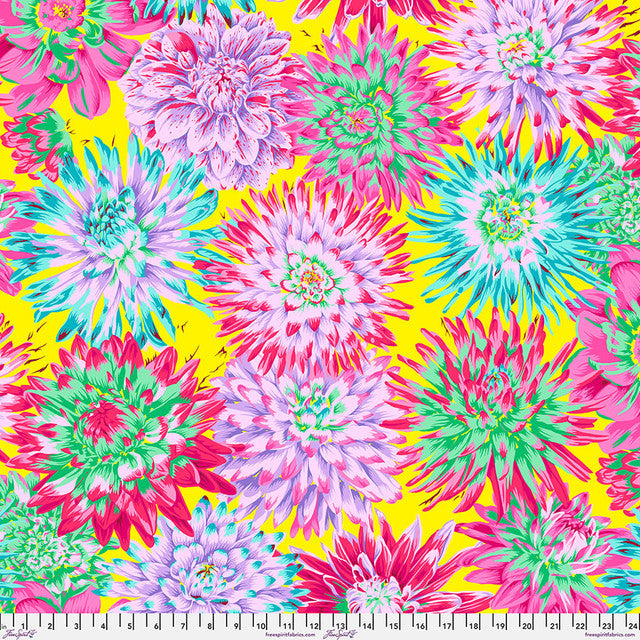 Cactus Dahlia- Spring- Kaffe