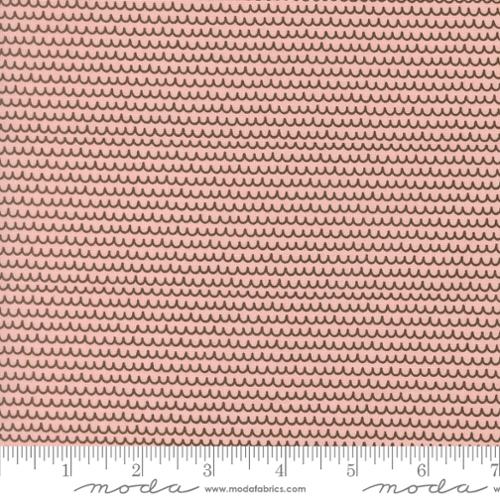 Squiggles Stripe Blush- Bug Collector