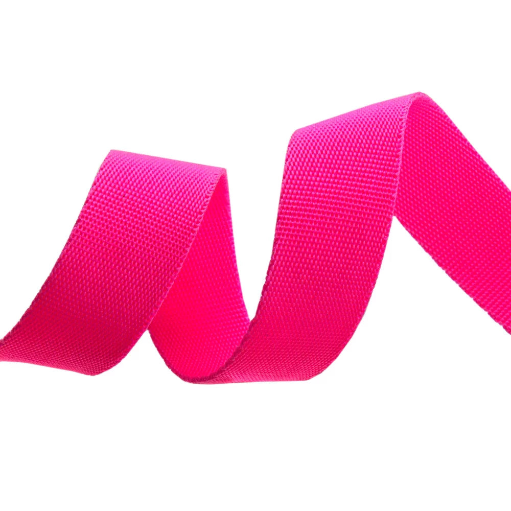 Cosmic/Pink Neon Webbing Tula Pink- 1" wide